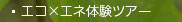 �G�R�G�l�̌��c�A�[