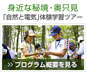 �g�߂Ȕ鋫�E�������u���R�Ɠd�C�v�̌��w�K�c�A�[