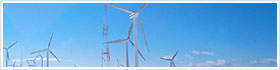 Environmental Activities
