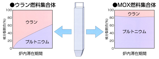 ウラン燃料とMOX燃料の比較