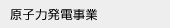 原子力発電事業