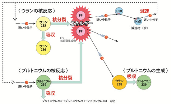 ウランの核分裂とプルトニウムの生成・核分裂