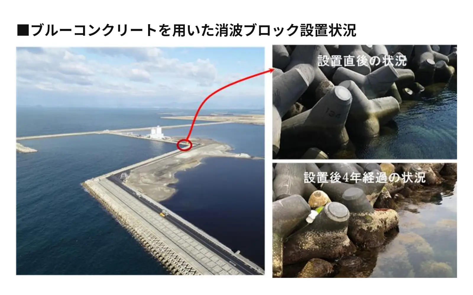 ブルーコンクリートを用いた消波ブロック設置状況