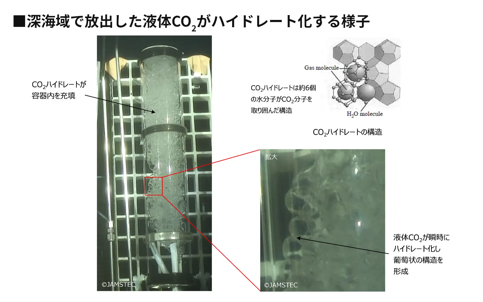 深海域で放出した液体CO2がハイドレート化する様子