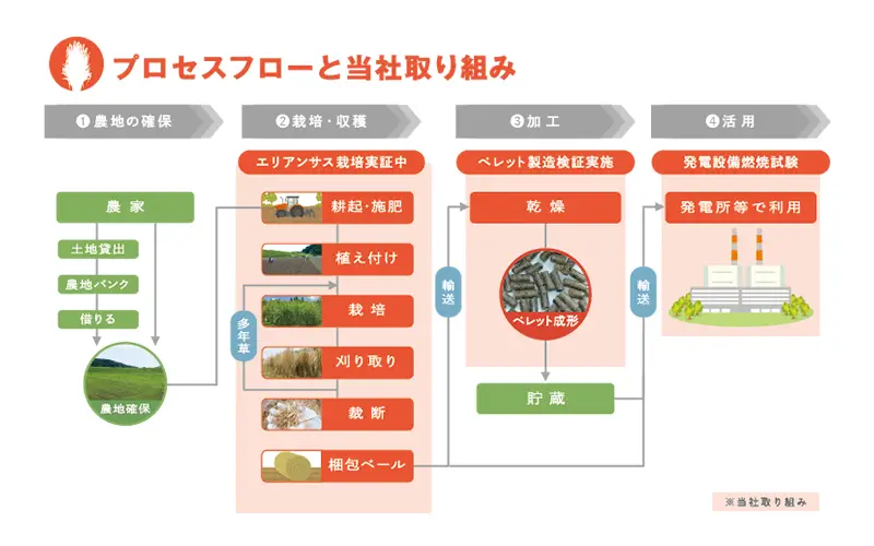 プロセスフローと当社の取り組み