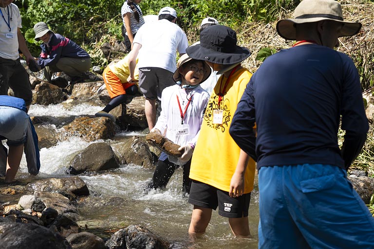 ダムをつくるための石を集めます