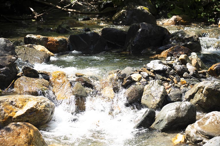 皆でつくった小さなダムから流れる水の勢いに、パワーとありがたみを感じました