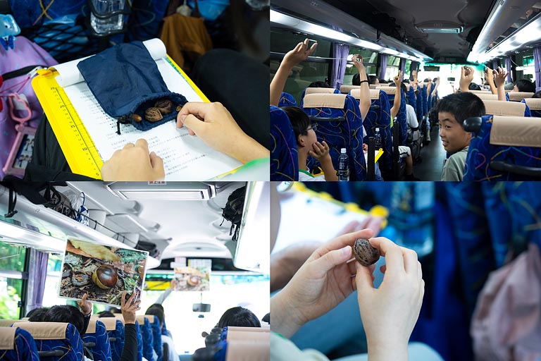 木の実を当てるクイズで盛り上がりました！