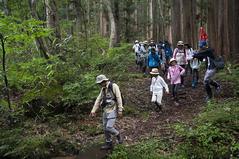 思いっきり深呼吸。朝の森の新鮮な空気の中歩いていきます