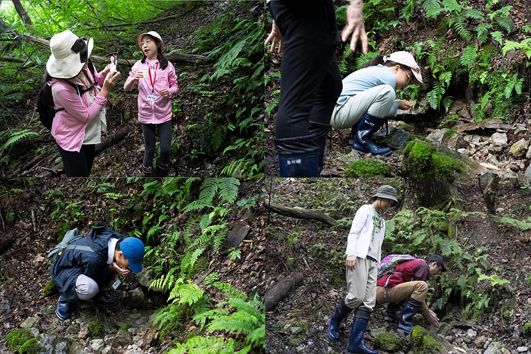 湧き水をひと口ずついただく。「冷たい！」「おいしい！」という声があがりました