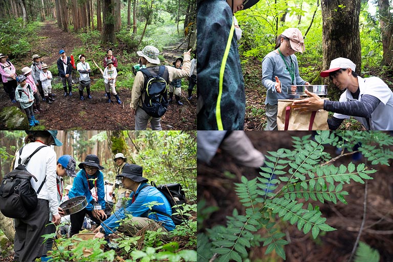 森の中の土を集めてザルでふるってみると丸い土のかたまりのようなものが残りました