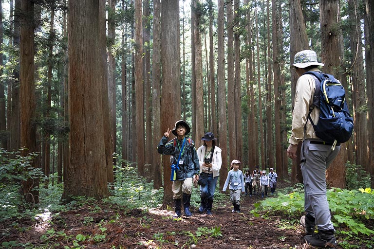 気持ち良い朝のウォーキングでした