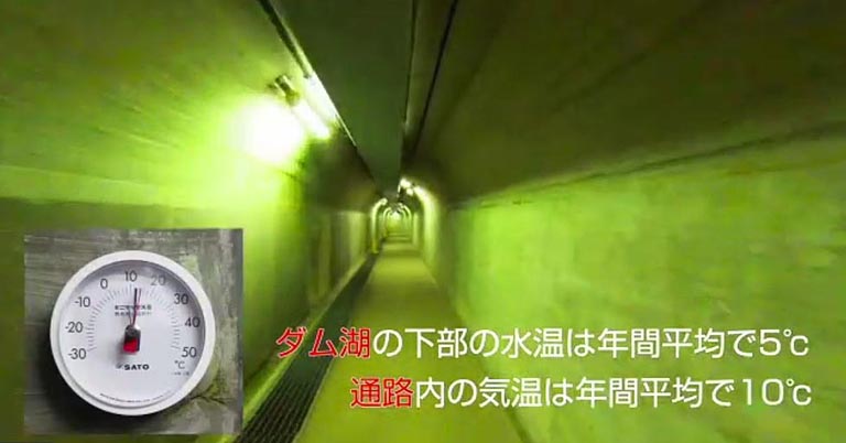 発電機室に降りるためのエレベーターに向かう連絡通路はひんやり。この連絡通路の気温は、年間通じて10度前後です。ダム湖の下方の水が年間を通じて５度前後で安定しているため、ダムの外と比べると、夏は涼しく、冬は暖かく感じるそうです。温度からダム自体がせき止めて貯めた水と接していることがわかります。通路の蛍光灯の周りを見ると、壁が緑色になっています。これは苔の仲間で、蛍光灯の光で光合成を行っているので、蛍光灯の周りに苔が生息しています。