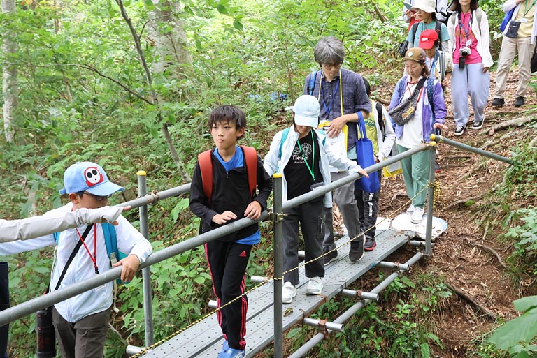 森の奥へと進んでいきます