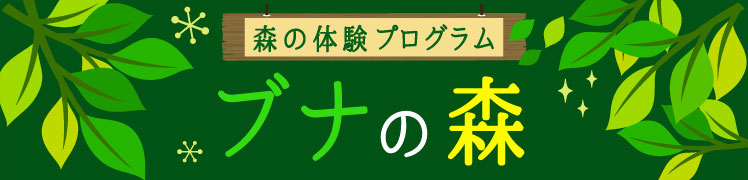 森の体験プログラム ブナの森