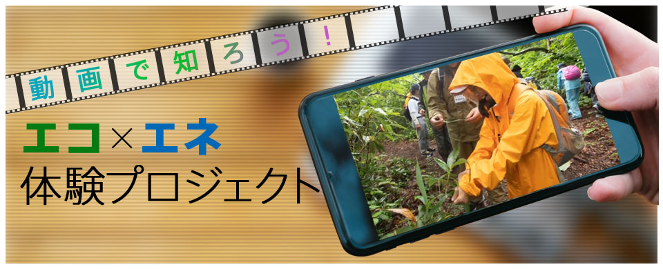 動画で知ろう！エコ×エネ体験プロジェクト