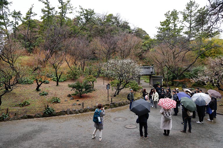 当時10mの木を植えた築山の向こうには高さ200mの煙突がそびえていますが、ここからは見えません