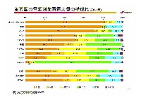 2007年度経営計画説明会資料　補足資料