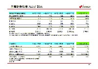 平成19年3月期　決算説明会資料