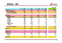 平成19年3月期　決算説明会資料