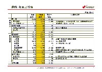 平成19年3月期　決算説明会資料