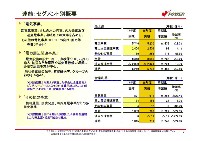 平成19年3月期　決算説明会資料