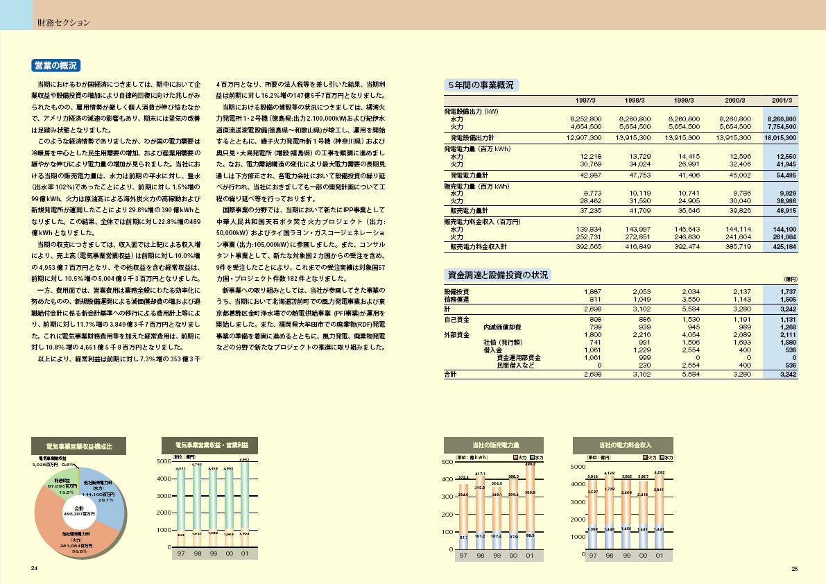2001年版アニュアルレポート P13