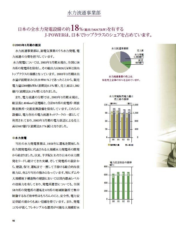 2003年版アニュアルレポート P17