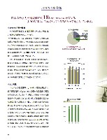 2003年版アニュアルレポート P17