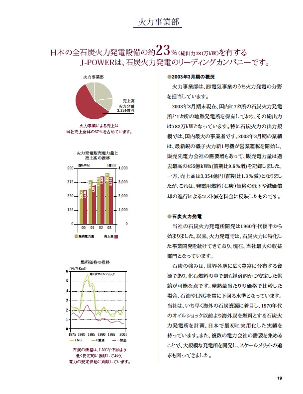 2003年版アニュアルレポート P20