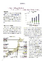 2003年版アニュアルレポート P25