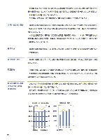 2003年版アニュアルレポート P41