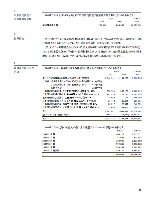 2003年版アニュアルレポート P54