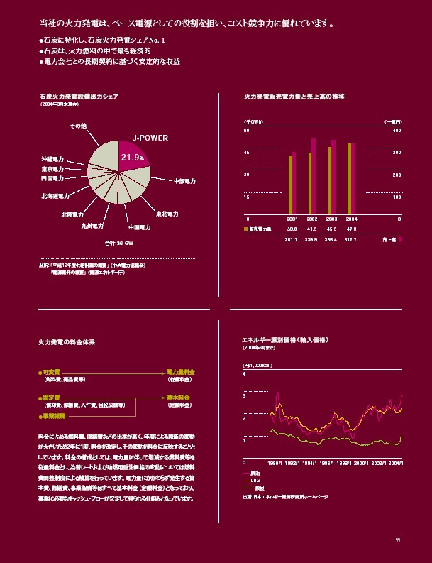 2004年版アニュアルレポート P13