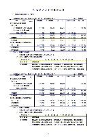 平成14年3月期 決算要旨 P18