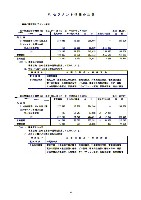 平成15年3月期 中間決算要旨 P19