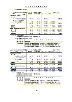 平成15年3月期 決算要旨 P20