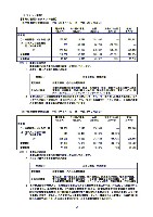 平成17年3月期 中間決算要旨 P26