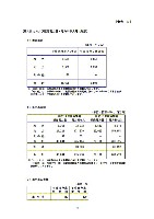 平成17年3月期 中間決算要旨 P31