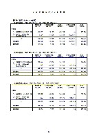 平成17年3月期 第3四半期 財務・業績の概要 P13