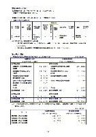 平成17年3月期 決算要旨 P29