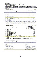 平成17年3月期 決算要旨 P33