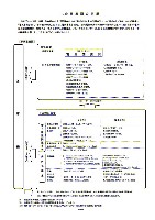 平成18年3月期 第1四半期 財務・業績の概要 P5