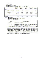 平成18年3月期 中間決算要旨 P29