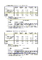 平成18年3月期 中間決算要旨 P30