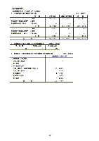 平成18年3月期 決算要旨 P30