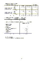 平成18年3月期 決算要旨 P31