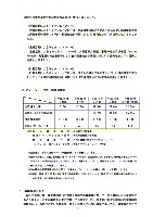 平成19年3月期 中間決算要旨 P13