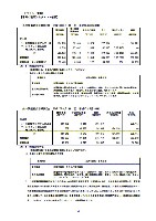 平成19年3月期 中間決算要旨 P27