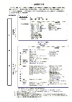 平成19年3月期 第3四半期財務・業績の概況 P5